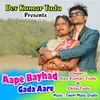 About Aape Bayhad Gada Aare Song